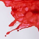 Winsor & Newton Kresliaci tuš Scarlet 14 ml