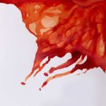 Winsor & Newton Kresliaci tuš Burnt Sienna 14 ml