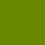 L&B Louvre olej 150 ml - Medium Green – 561
