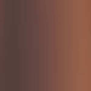_0000s_0059_Burnt-Umber