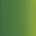 Graduate olej 38 ml SAP Green