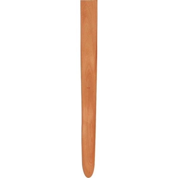 boetseerspatel-nr-1-AMI570201